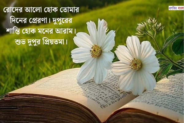 প্রেমিকার জন্য শুভ দুপুরের শুভেচ্ছা বার্তা