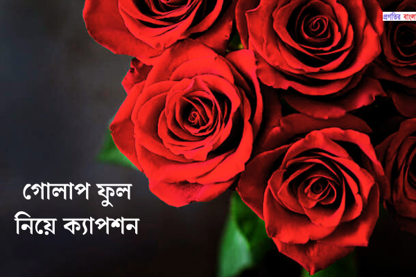 গোলাপ ফুল নিয়ে ক্যাপশন