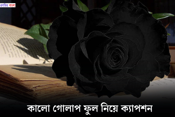 কালো গোলাপ ফুল নিয়ে ক্যাপশন
