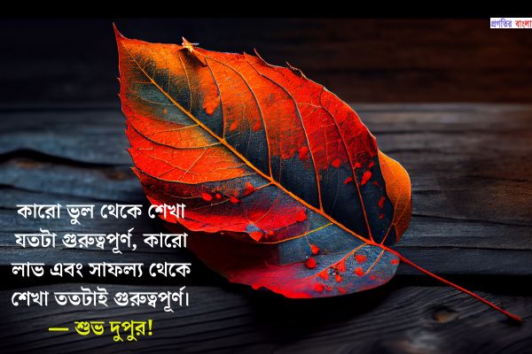 দুপুরের শুভেচ্ছা কোটস