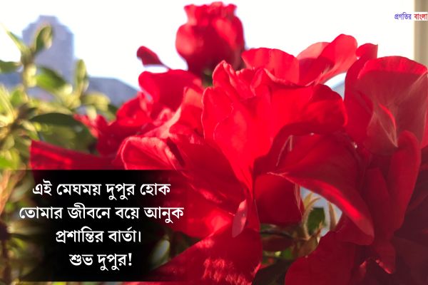 প্রেমিকের জন্য শুভ দুপুরের শুভেচ্ছা বার্তা