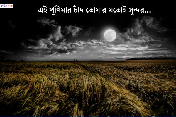রোমান্টিক চাঁদের উক্তি