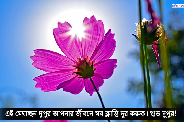 স্বামীর জন্য শুভ দুপুরের শুভেচ্ছা বার্তা