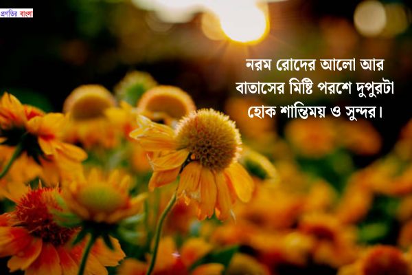 দুপুরের শুভেচ্ছা কোটস 