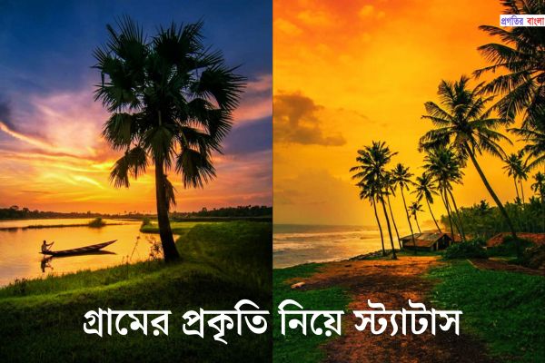 গ্রামের প্রকৃতি নিয়ে স্ট্যাটাস 