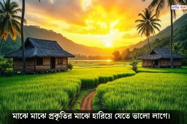 গ্রামের সুন্দর প্রকৃতি নিয়ে ক্যাপশন