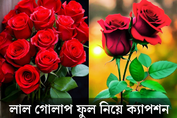 লাল গোলাপ ফুল নিয়ে ক্যাপশন