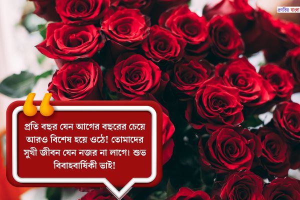 ভাইয়ের বিবাহ বার্ষিকী শুভেচ্ছা বার্তা ও মেসেজ