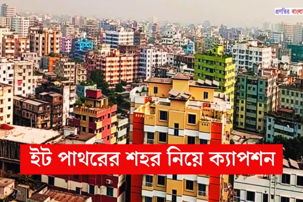 ইট পাথরের শহর নিয়ে ক্যাপশন