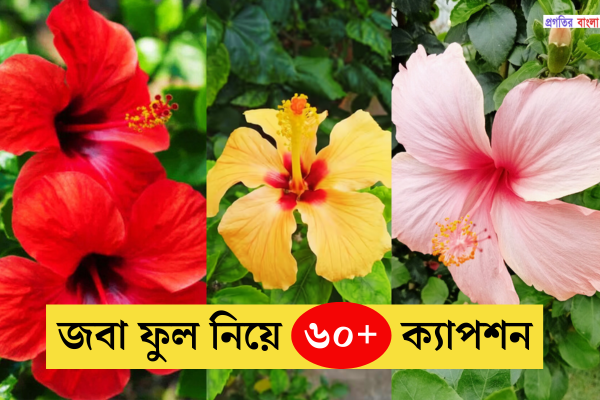 জবা ফুল নিয়ে ক্যাপশন