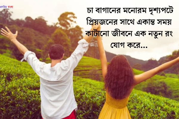 চা নিয়ে রোমান্টিক ক্যাপশন 