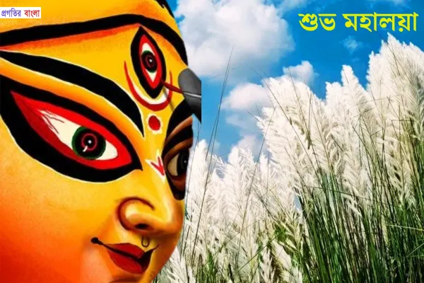 শুভ মহালয়ার শুভেচ্ছা