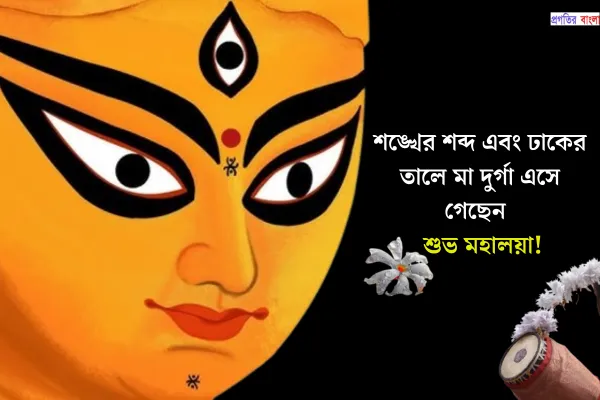 শুভ মহালয়ার স্ট্যাটাস