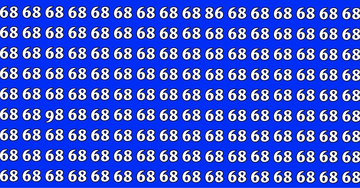 অপটিক্যাল ইলিউশন