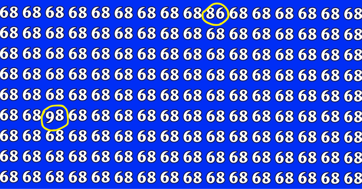 অপটিক্যাল ইলিউশন