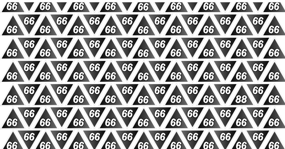 অপটিক্যাল ইলিউশন