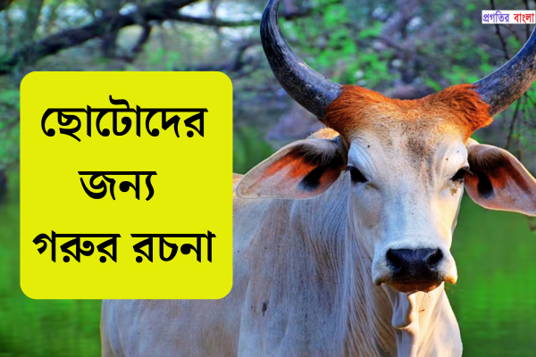 গরুর রচনা
