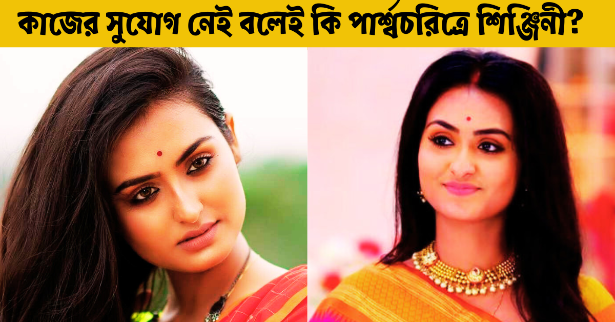 অভিনেত্রী শিঞ্জিনী চক্রবর্তী