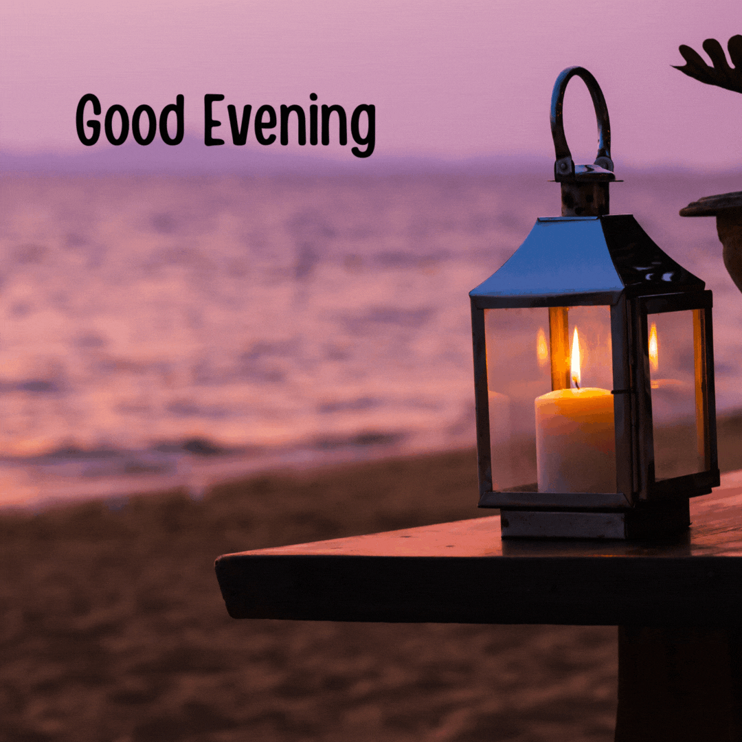 শুভ সন্ধ্যা শুভেচ্ছা GIF