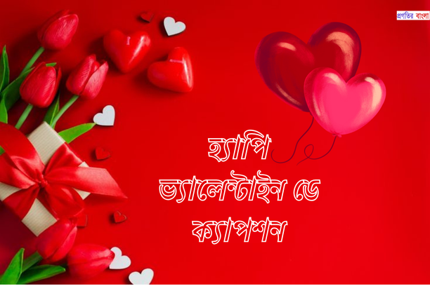 হ্যাপি ভ্যালেন্টাইন ডে ক্যাপশন