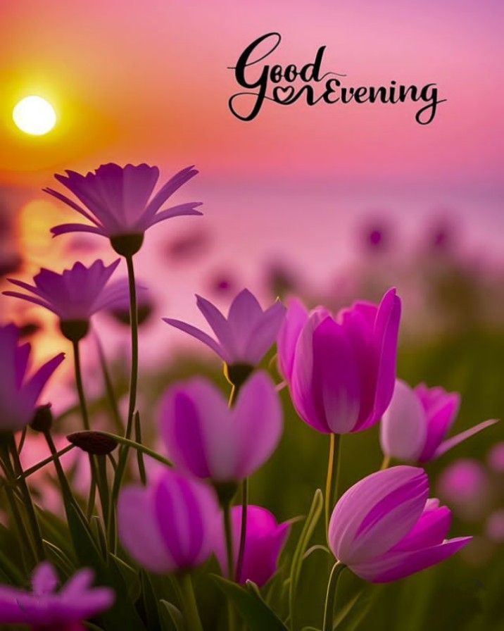 শুভ সন্ধ্যা শুভেচ্ছা ছবি