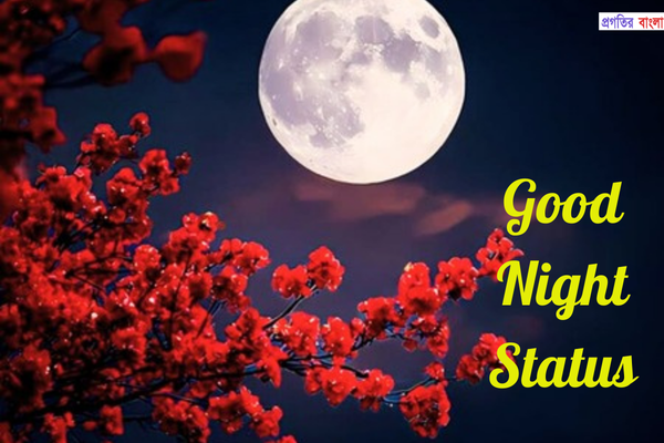 শুভ রাত নিয়ে স্ট্যাটাস