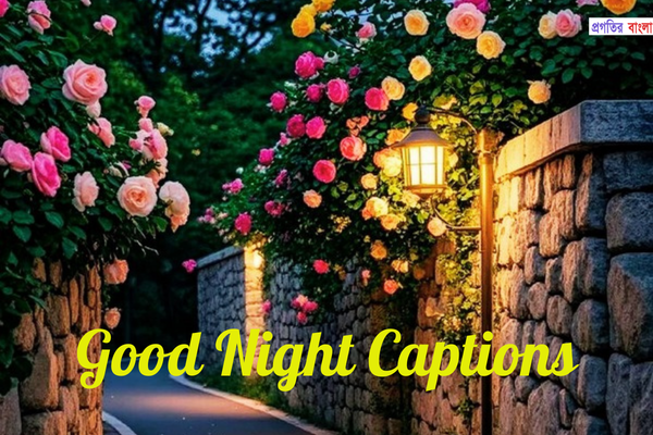 শুভ রাত নিয়ে ক্যাপশন