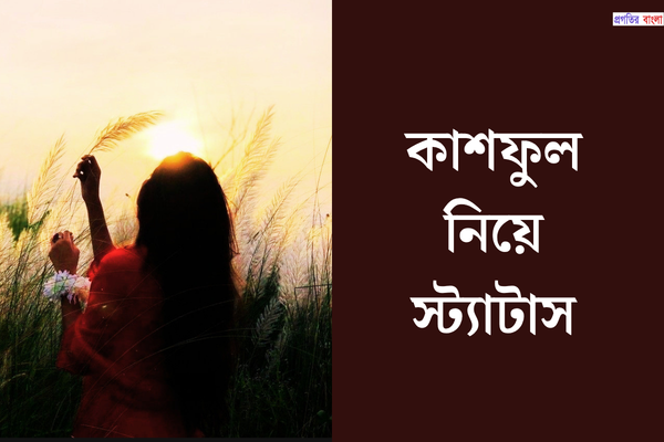 কাশফুল নিয়ে স্ট্যাটাস