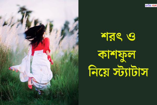 শরৎ ও কাশফুল নিয়ে স্ট্যাটাস