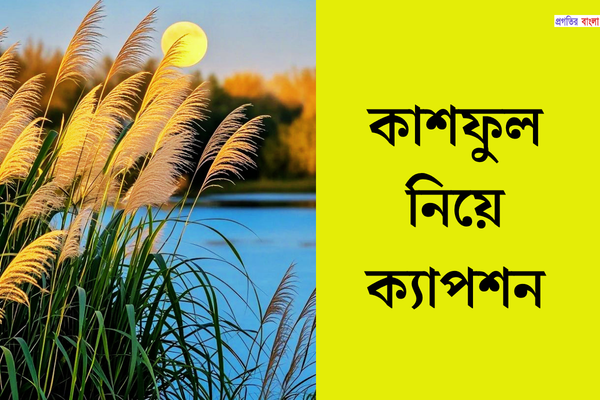 কাশফুল নিয়ে ক্যাপশন