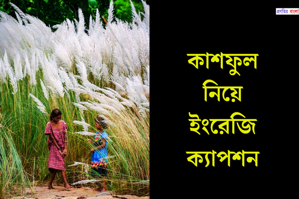 কাশফুল নিয়ে ইংরেজি ক্যাপশন