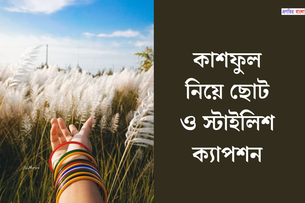 কাশফুল নিয়ে ছোট ও স্টাইলিশ ক্যাপশন