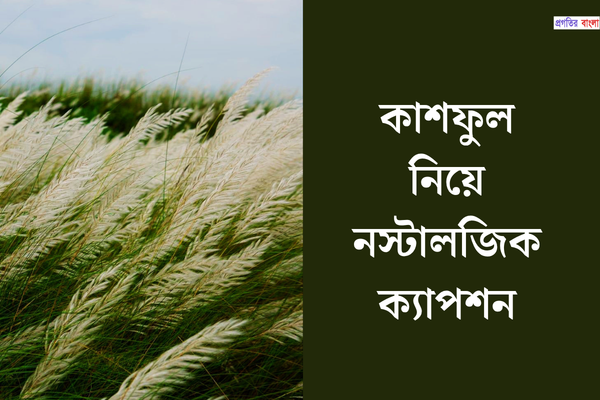কাশফুল নিয়ে নস্টালজিক ক্যাপশন