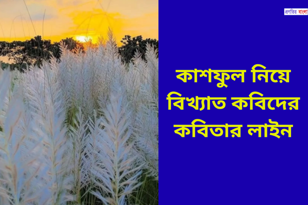 কাশফুল নিয়ে বিখ্যাত কবিদের কবিতার লাইন