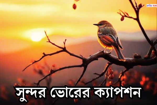 সুন্দর ভোরের ক্যাপশন