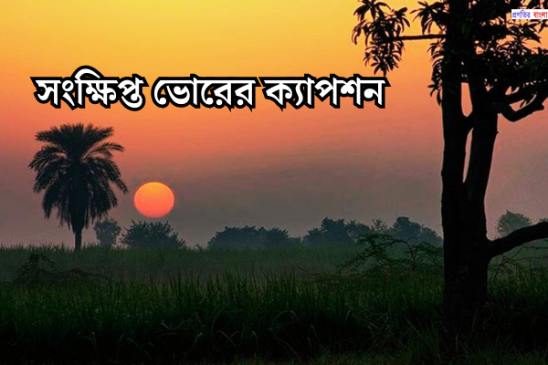 সংক্ষিপ্ত ভোরের ক্যাপশন