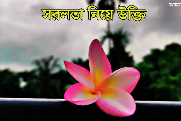সরলতা নিয়ে উক্তি