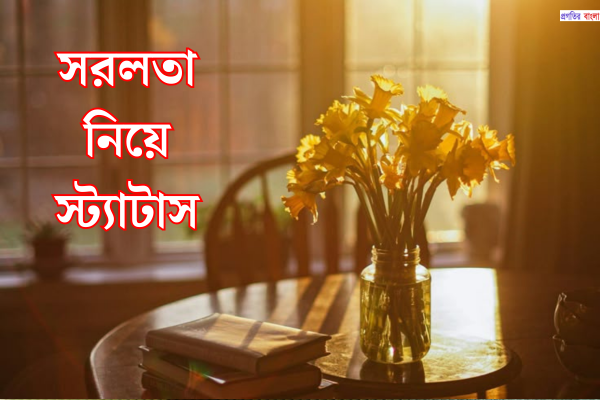 সরলতা নিয়ে স্ট্যাটাস