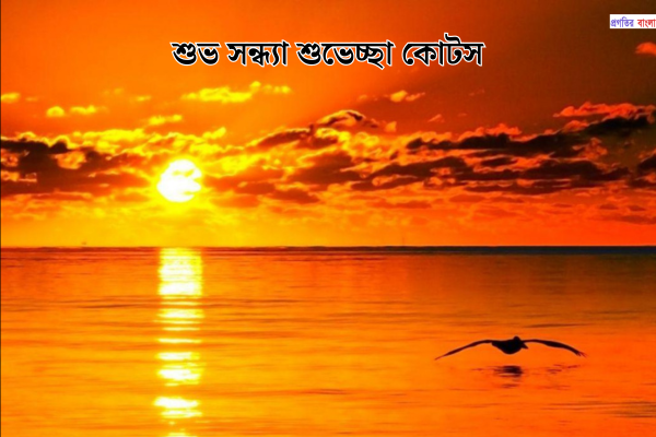 শুভ সন্ধ্যা শুভেচ্ছা কোটস