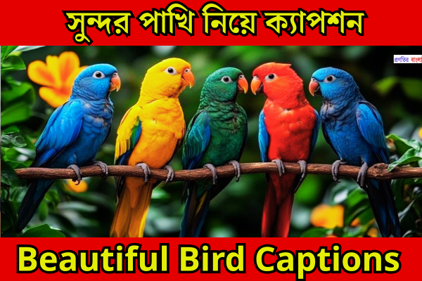 পাখি নিয়ে ক্যাপশন