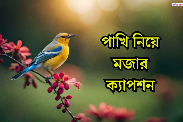 পাখি নিয়ে মজার ক্যাপশন