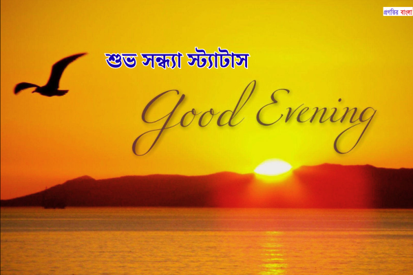 শুভ সন্ধ্যা স্ট্যাটাস