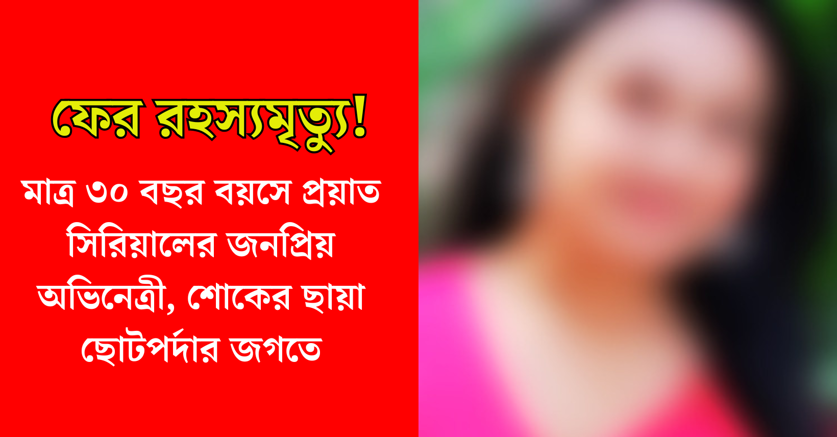 অভিনেত্রী সঞ্চিতা উগলে